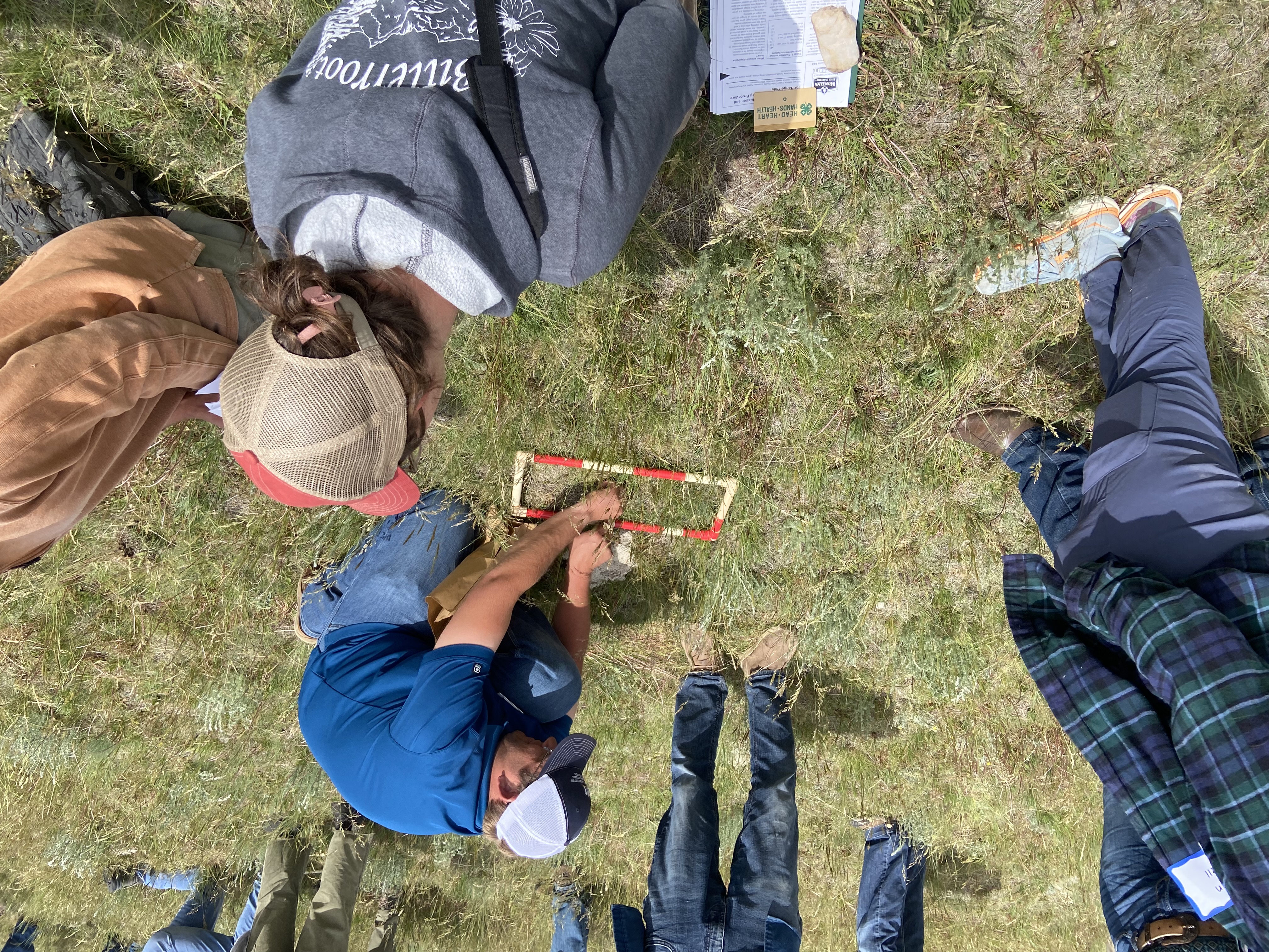 MSU Extension Beef Specialist, Dr. Sam Wyffels, demonstrating how to estimate forage production.